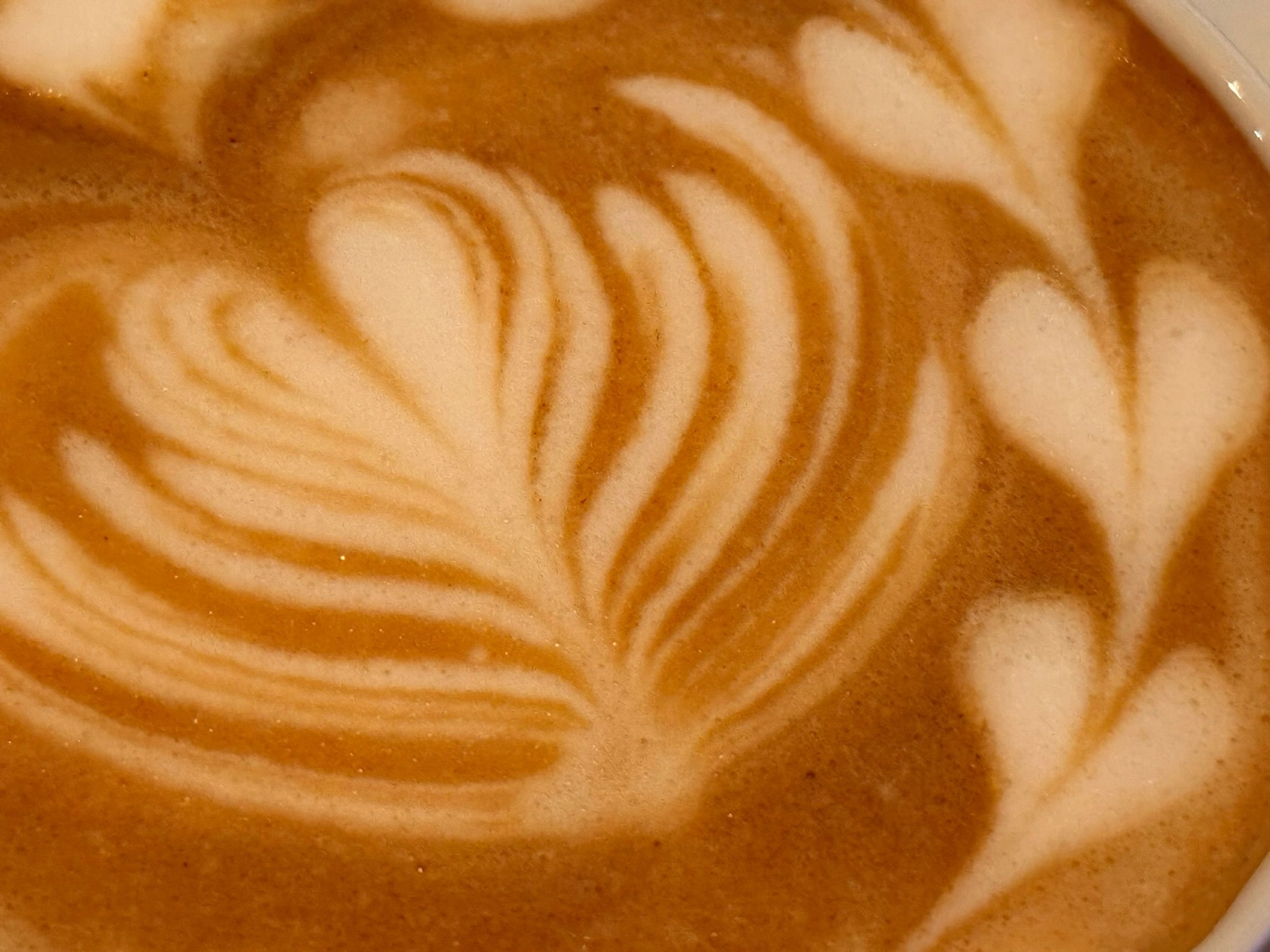 Black Pearl – Restaurant – Kaffee